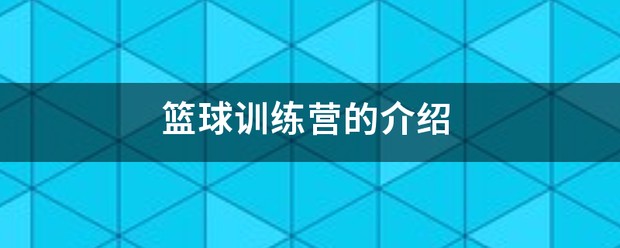 国外篮球训练营